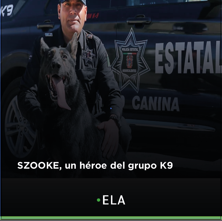 SZOOKE, un héroe del grupo K9