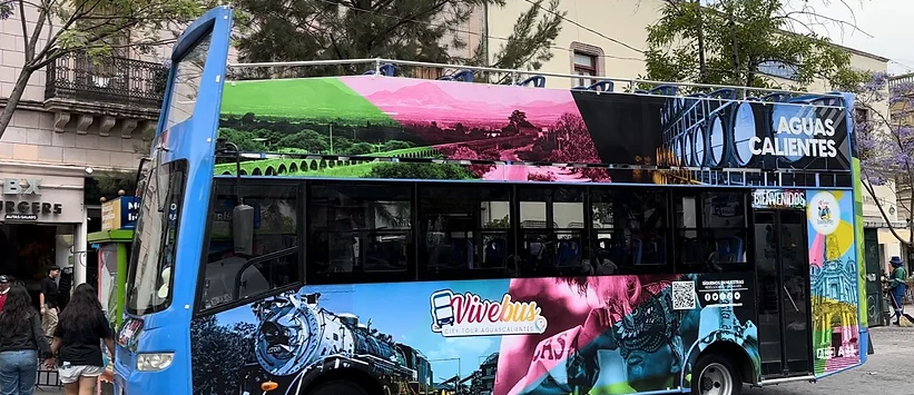 Vivebus, una gran experiencia turística
