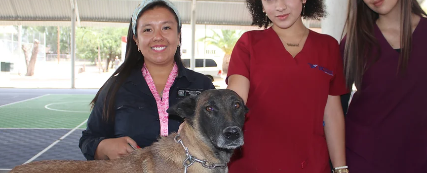 Servicios gratuitos para mascotas en la comunidad de Emiliano Zapata, en Pabellón de Arteaga
