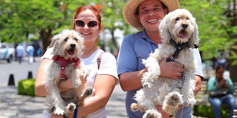 Todo un éxito la atención a mascotas en víaags