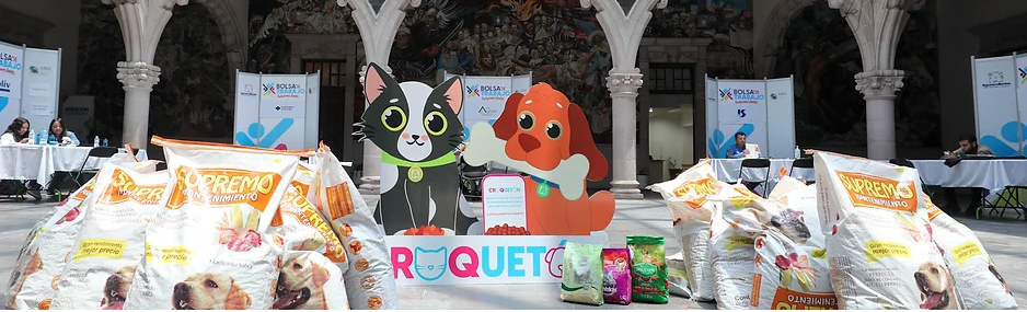Continúa llegando donaciones de alimento par el primer Croquetón