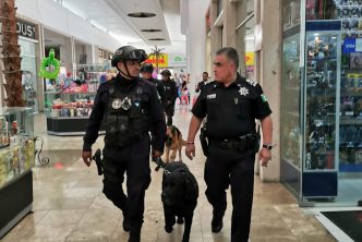 Refuerza Policía Municipal proximidad social en centros comerciales a través de binomios caninos Refuerza Policía Municipal proximidad social en centros comerciales a través de binomios caninos