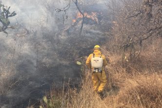 Refuerzan bomberos Municipales vigilancia ante incremento de incendios en pasto seco y forestales