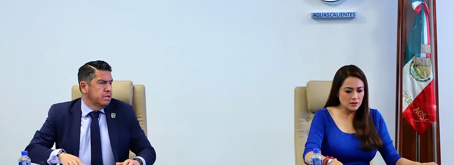 En Aguascalientes trabajamos coordinadamente por la seguridad de nuestras familia: Tere Jiménez