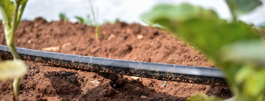 Dispone Tere Jiménez más apoyos al campo para enfrentar la sequía
