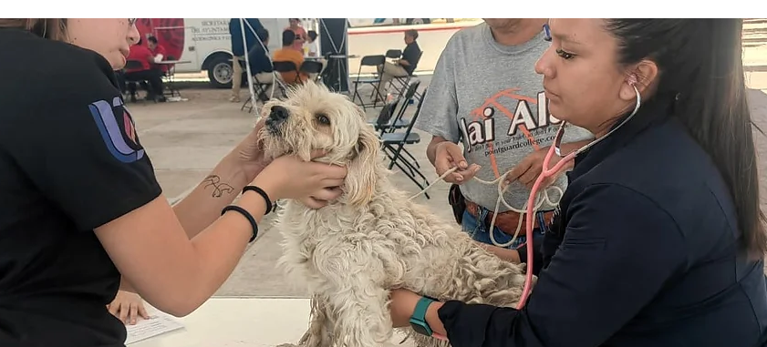 Asiste a la caravana de la salud canina y felina en Cosío Asiste a la caravana de la salud canina y felina en Cosío