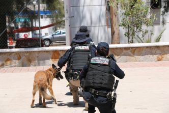 Certificación a binomios caninos de la Policía Municipal de Aguascalientes en técnicas de intervención avanzadas