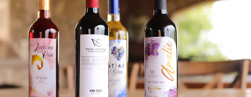 Conoce las actividades que habrá este sábado y domingo en Vive las vendimias 2023 de la ruta del vino
