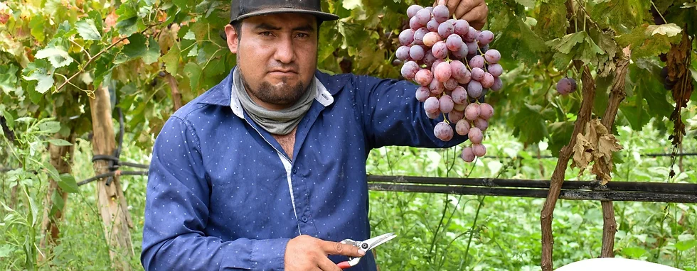 Productores tendrán acceso gratuito para participar en el foro agroalimentario internacional