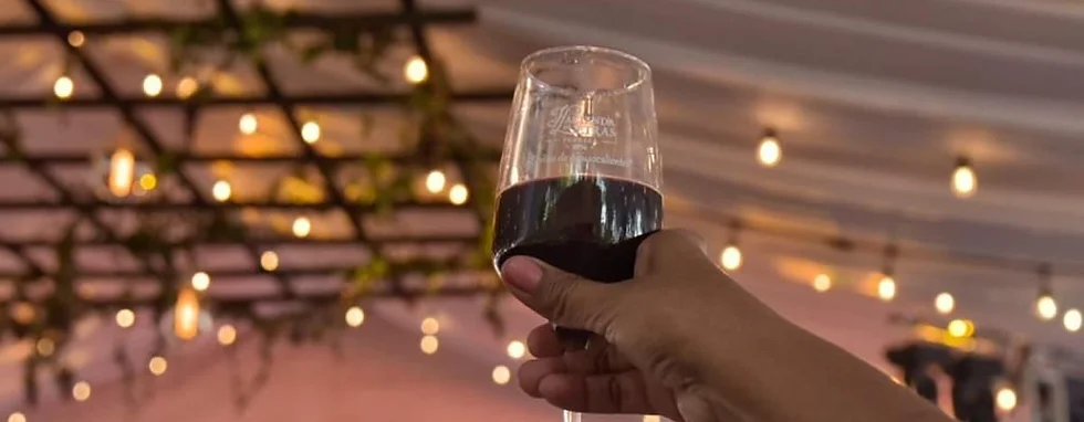 Catas de vinos, recorridos por viñedos, conciertos y más te esperan este fin de semana en vive las vendimias 2023 Catas de vinos, recorridos por viñedos, conciertos y más te esperan este fin de semana en vive las vendimias 2023
