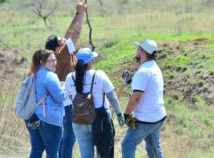 Emprende Municipio acciones de reforestación y restauración de suelo en Bosque de los Cobos Emprende Municipio acciones de reforestación y restauración de suelo en Bosque de los Cobos