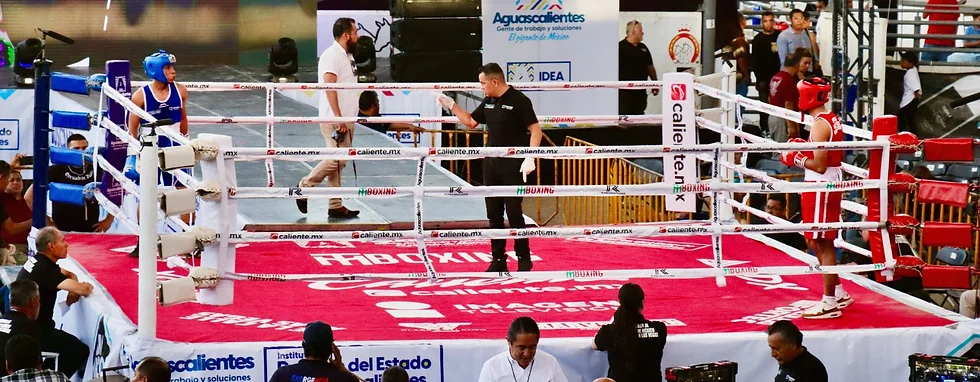 Avanza eliminatorias del Torneo de Box buscando al Gigante de México… De la calle a las Vegas