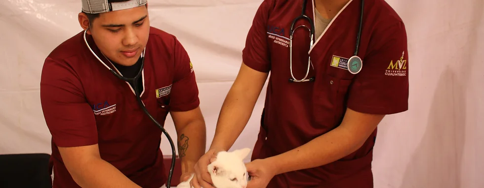 LLEVARÁN SERVICIOS VETERINARIOS GRATUITOS A CALVILLO ESTE 10 DE NOVIEMBRE
