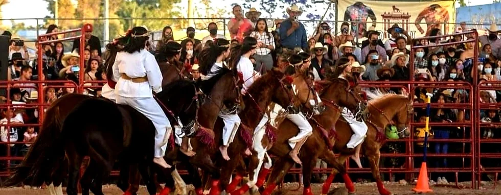 Con exponentes internacionales, Aguascalientes será sede del festival el Caballo y su Mundo