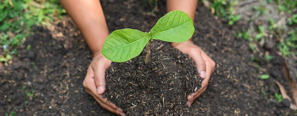 AGUASCALIENTES DESTACA A NIVEL NACIONAL POR SU COMPROMISO CON EL MEDIO AMBIENTE