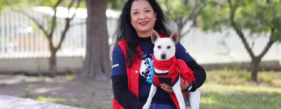 FAMILIAS DE AGUASCALIENTES APADRINAN A GATITOS Y PERRITOS DE ALBERGUES ESTA NAVIDAD