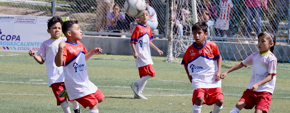 TODO LISTO PARA LAS FINALES DE LA COPA AGUASCALIENTES EN EL ESTADIO VICTORIA TODO LISTO PARA LAS FINALES DE LA COPA AGUASCALIENTES EN EL ESTADIO VICTORIA