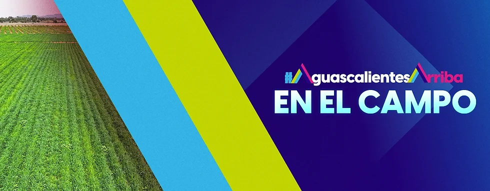 TERE JIMÉNEZ ANUNCIA APOYOS PARA APICULTORES DE AGUASCALIENTES
