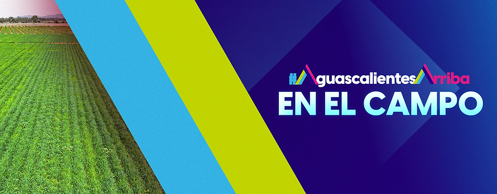 TERE JIMÉNEZ ANUNCIA PROGRAMA DE APOYO PARA LA ADQUISICIÓN DE REMOLQUES TERE JIMÉNEZ ANUNCIA PROGRAMA DE APOYO PARA LA ADQUISICIÓN DE REMOLQUES