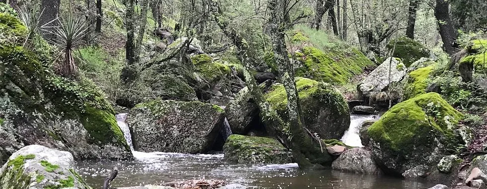 AGUASCALIENTES SE SUMA A LA LUCHA POR LA CONSERVACIÓN DE ECOSISTEMAS AGUASCALIENTES SE SUMA A LA LUCHA POR LA CONSERVACIÓN DE ECOSISTEMAS