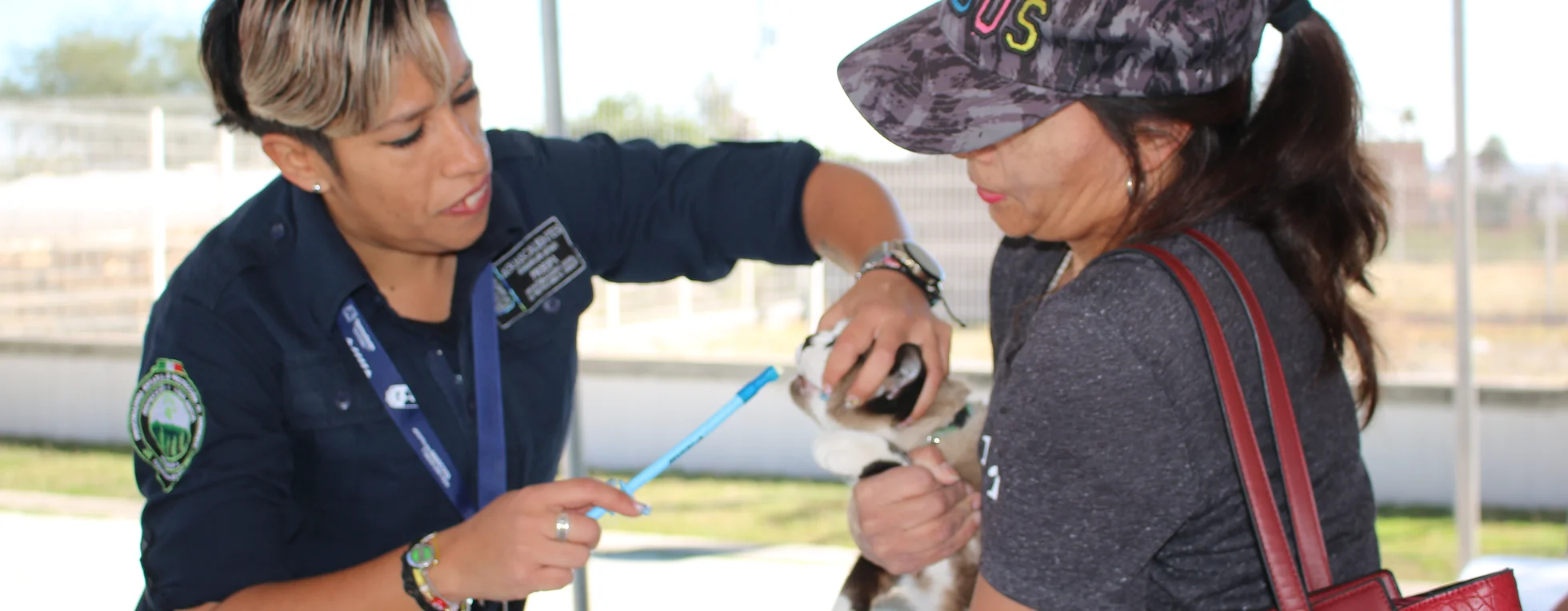 SERVICIOS VETERINARIOS GRATUITOS ESTA SEMANA EN SAN JOSÉ DE GRACIA Y AGUASCALIENTES SERVICIOS VETERINARIOS GRATUITOS ESTA SEMANA EN SAN JOSÉ DE GRACIA Y AGUASCALIENTES