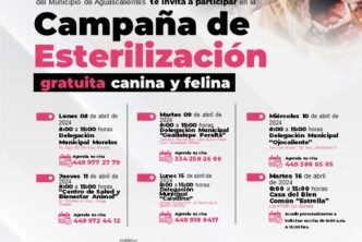 INVITA SALUD MUNICIPAL A LAS CAMPAÑAS DE ESTERILIZACIÓN GRATUITAS PARA CANINOS Y FELINOS