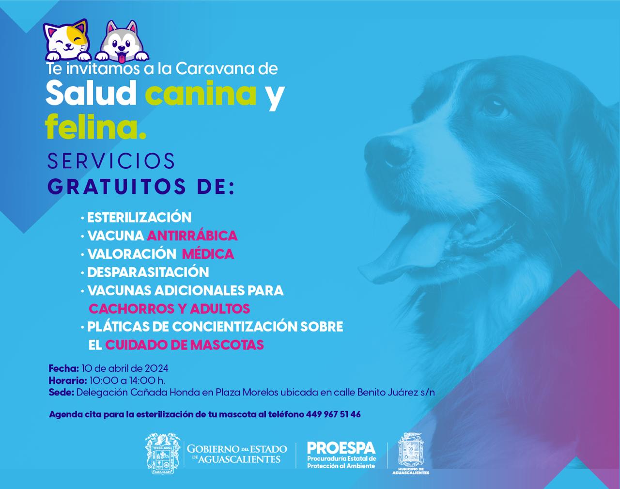 La Proespa te invitan a la Caravana de la Salud Canina y Felina que se llevará a cabo este 10 de abril. La Proespa te invitan a la Caravana de la Salud Canina y Felina que se llevará a cabo este 10 de abril.