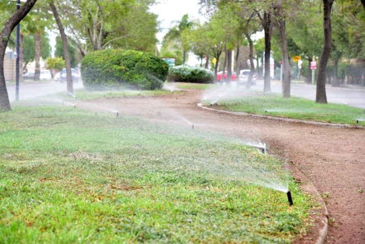 INVITA MUNICIPIO A PARTICIPAR COMO CIUDADANOS AMBIENTALMENTE RESPONSABLES Y ADOPTAR UN ÁRBOL
