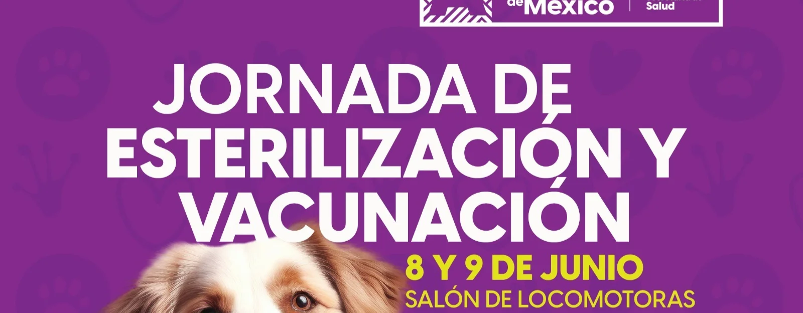 SERVICIOS GRATUITOS VETERINARIOS ESTE FIN DE SEMANA  EN “EXPO MI MASCOTA FAVORITA”