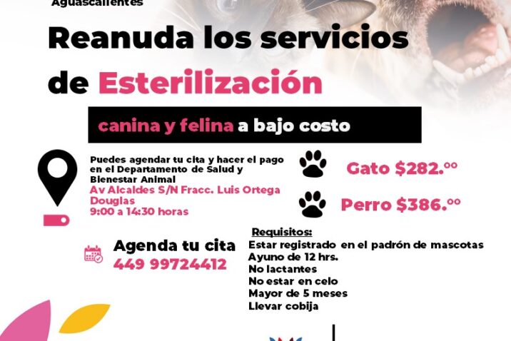 OFRECE MUNICIPIO SERVICIO DE ESTERILIZACIÓN CANINA Y FELINA A BAJO COSTO