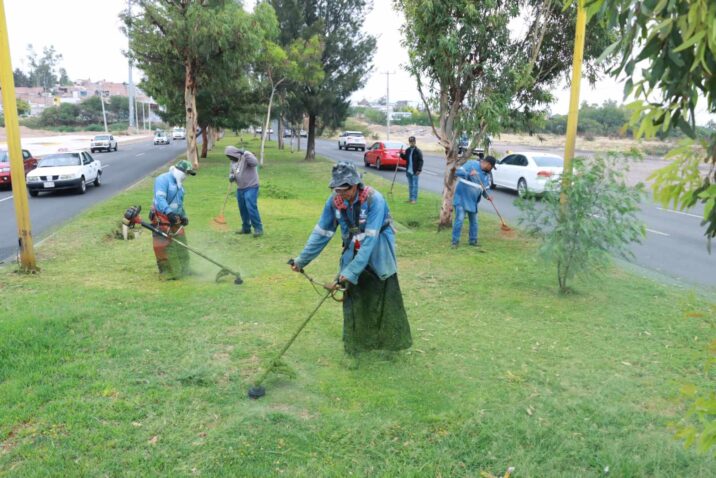INTENSIFICA MUNICIPIO TRABAJOS DE MANTENIMIENTO DE ÁREAS VERDES