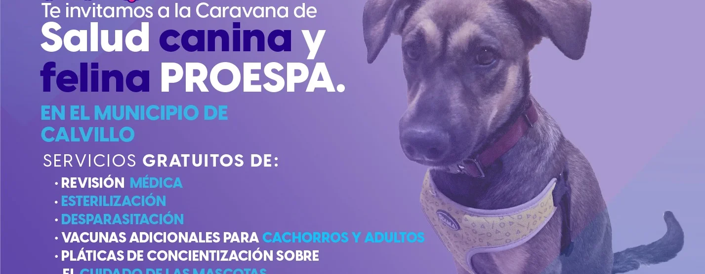 ESTE VIERNES, ATENCIÓN VETERINARIA GRATUITA PARA TU MASCOTA EN CALVILLO ESTE VIERNES, ATENCIÓN VETERINARIA GRATUITA PARA TU MASCOTA EN CALVILLO