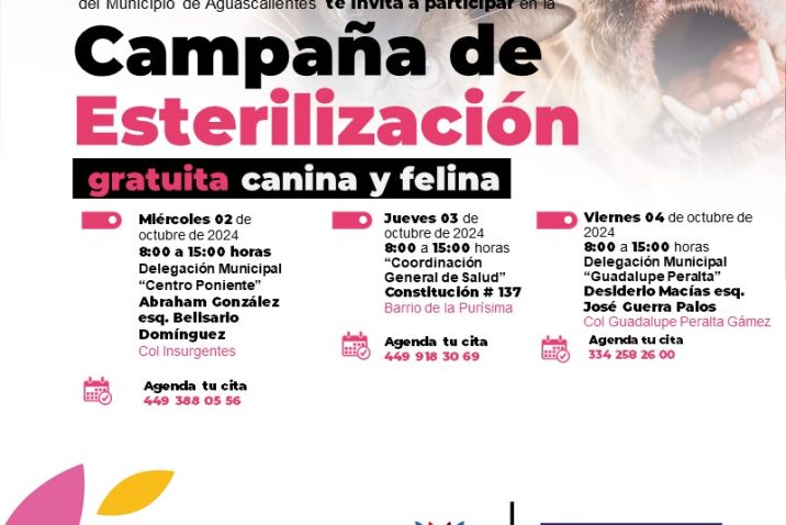 EFECTUARÁ MUNICIPIO NUEVAS JORNADAS DE ESTERILIZACIÓN CANINA Y FELINA