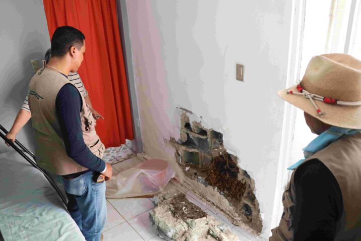 FORTALECE MUNICIPIO CAMPAÑA DE ÁRBOLES AMIGABLES CON LA INFRAESTRUCTURA DE LOS HOGARES