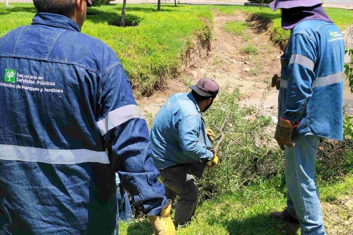 AUMENTA MUNICIPIO ATENCIÓN A REPORTES DE RAMAS CAÍDAS POR LLUVIAS