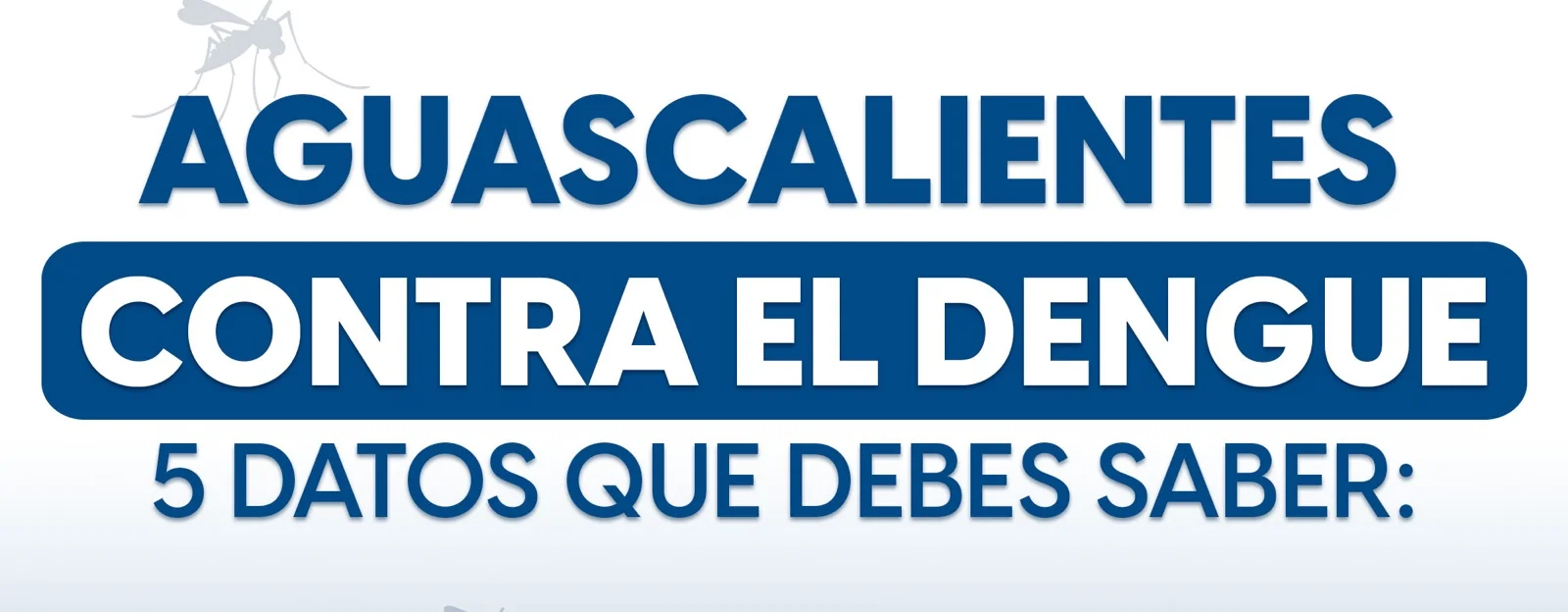 GRACIAS A LABORES DE PREVENCIÓN, EN AGUASCALIENTES SE MANTIENE CONTROL SOBRE PROPAGACIÓN DEL DENGUE