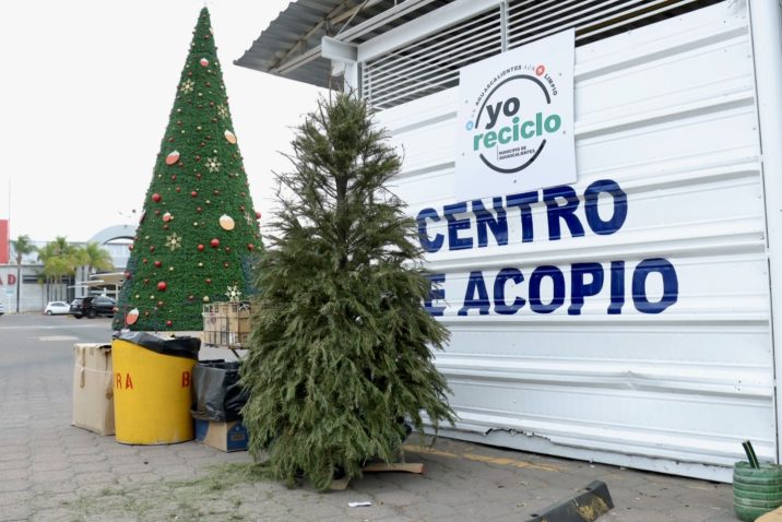 PONE EN MARCHA SECRETARÍA DE SERVICIOS PÚBLICOS PROGRAMA ANUAL DE ACOPIO DE ÁRBOLES NATURALES NAVIDEÑOS