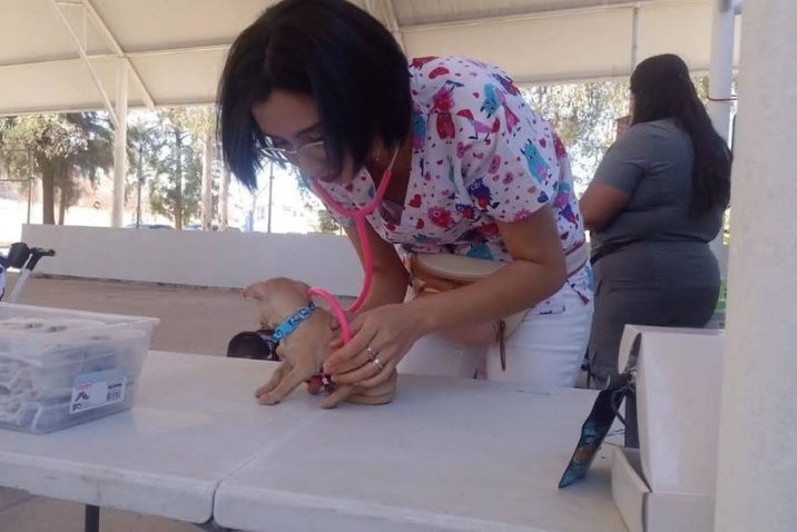 ANUNCIAN NUEVAS FECHAS DE LA CLÍNICA VETERINARIA MÓVIL