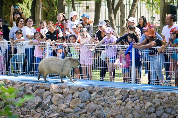 CONMEMORA MUNICIPIO DE AGUASCALIENTES EL “DÍA DE LAS Y LOS NIÑOS» EN EL PARQUE HIDALGO CONMEMORA MUNICIPIO DE AGUASCALIENTES EL “DÍA DE LAS Y LOS NIÑOS» EN EL PARQUE HIDALGO