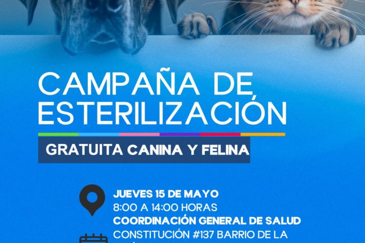 ABREN NUEVAS FECHAS PARA ESTERILIZACIONES GRATUITAS CANINAS Y FELINAS ABREN NUEVAS FECHAS PARA ESTERILIZACIONES GRATUITAS CANINAS Y FELINAS