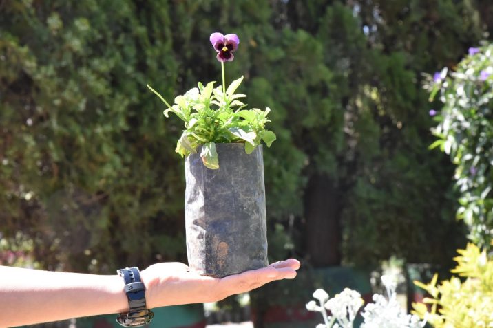 INICIA LA DONACIÓN ANUAL DE PLANTAS Y ÁRBOLES EN EL VIVERO MUNICIPAL INICIA LA DONACIÓN ANUAL DE PLANTAS Y ÁRBOLES EN EL VIVERO MUNICIPAL