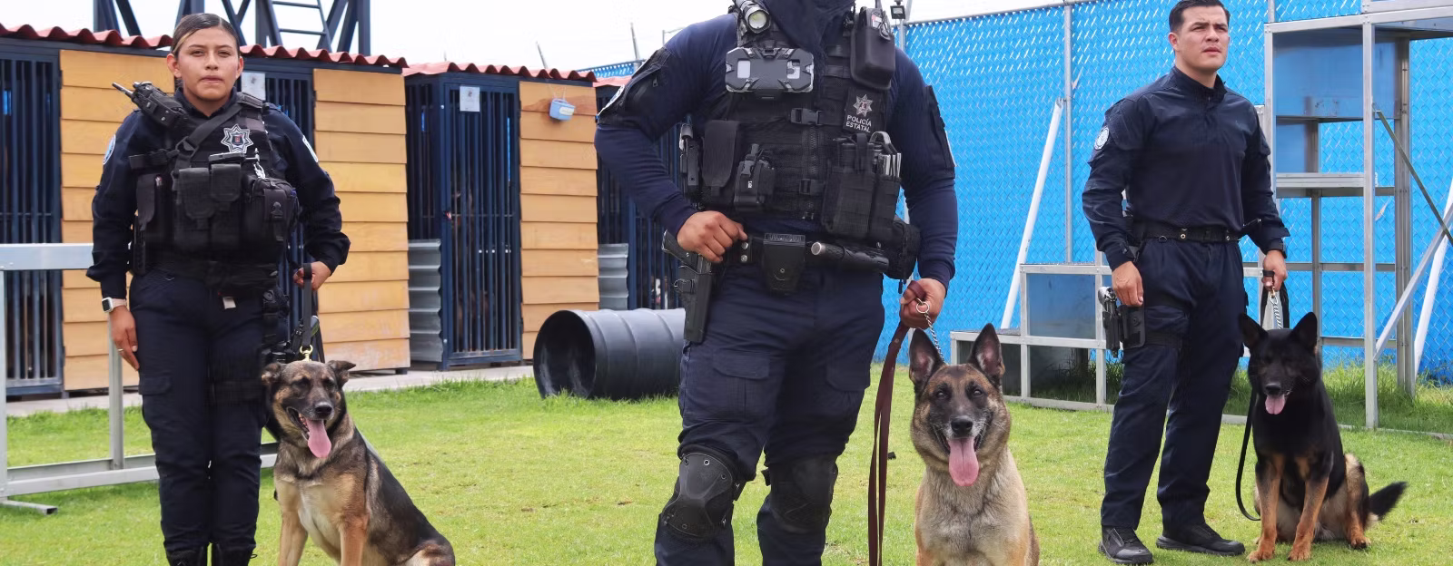 EMBAJADA DE ESTADOS UNIDOS RECONOCE LA PREPARACIÓN DE LA UNIDAD K9 DE LA POLICÍA ESTATAL DE AGUASCALIENTES