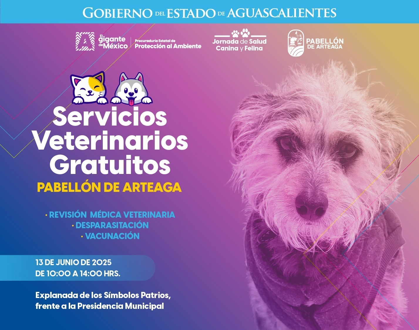 ¡Llegan los servicios veterinarios gratuitos para tus mascotas a Pabellón de Arteaga! 💉💚 ¡Llegan los servicios veterinarios gratuitos para tus mascotas a Pabellón de Arteaga! 💉💚