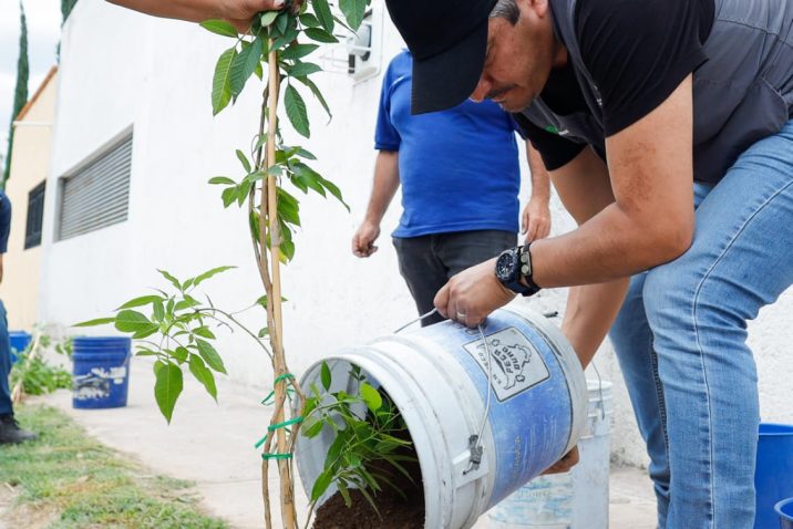 LEO MONTAÑEZ ENCABEZÓ JORNADA DE ARBORIZACIÓN EN EL FRACCIONAMIENTO VILLA TERESA