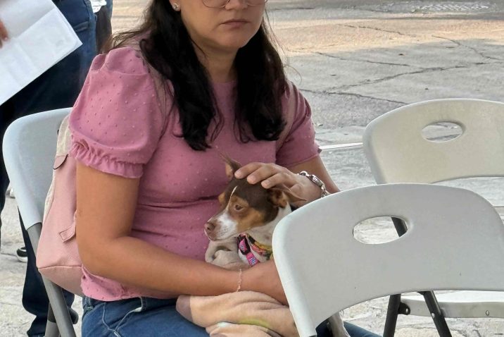 ANUNCIAN NUEVAS FECHAS PARA ESTERILIZACIONES CANINAS Y FELINAS