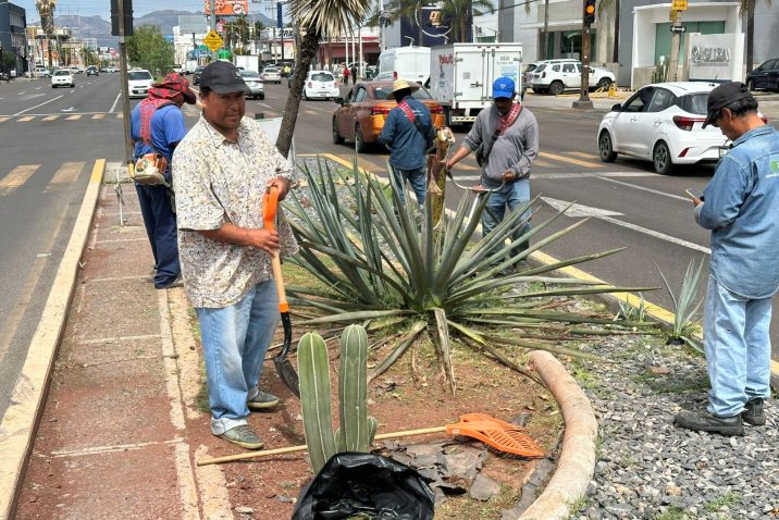 MUNICIPIO LLEVA A CABO OPERATIVO DE MANTENIMIENTO Y REHABILITACIÓN EN PRIMER ANILLO DE CIRCUNVALACIÓN MUNICIPIO LLEVA A CABO OPERATIVO DE MANTENIMIENTO Y REHABILITACIÓN EN PRIMER ANILLO DE CIRCUNVALACIÓN