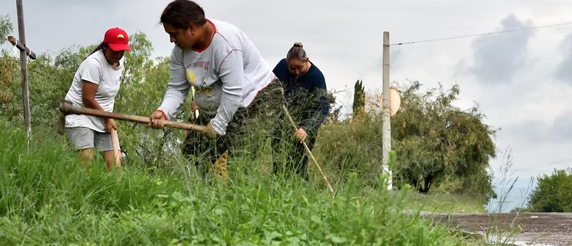 MÁS DE 14 MIL FAMILIAS Y SUS COMUNIDADES SE HAN VISTO BENEFICIADAS CON EL PROGRAMA DE EMPLEO TEMPORAL