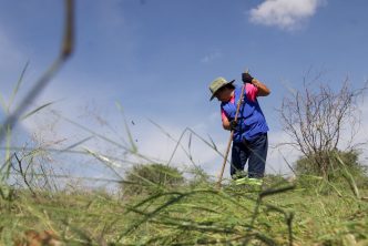 MUNICIPIO LLEVÓ A CABO MEGA OPERATIVO DE TRANSFORMACIÓN EN EL FRACCIONAMIENTO JOSÉ LÓPEZ PORTILLO MUNICIPIO LLEVÓ A CABO MEGA OPERATIVO DE TRANSFORMACIÓN EN EL FRACCIONAMIENTO JOSÉ LÓPEZ PORTILLO