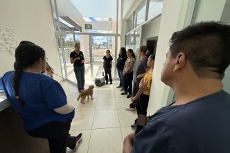 AVANZA LA CAPACITACIÓN DEL PERSONAL QUE ESTARÁ EN EL HOSPITAL VETERINARIO AVANZA LA CAPACITACIÓN DEL PERSONAL QUE ESTARÁ EN EL HOSPITAL VETERINARIO