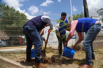 ENCABEZA LEO MONTAÑEZ ARBORIZACIÓN EN EL PARQUE DEL PAPA